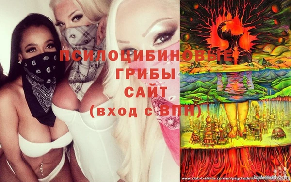 экстази Алексин